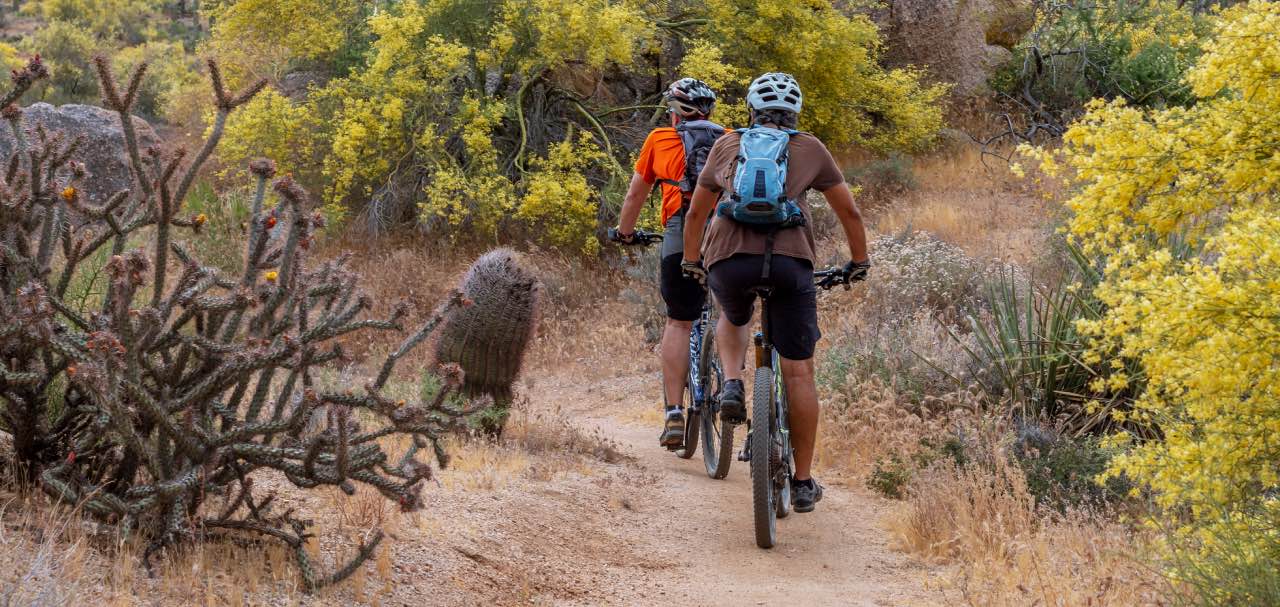 Biking in Arizona